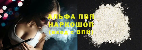 шишки Белоозёрский