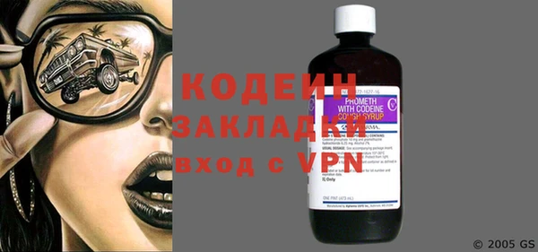 шишки Белоозёрский