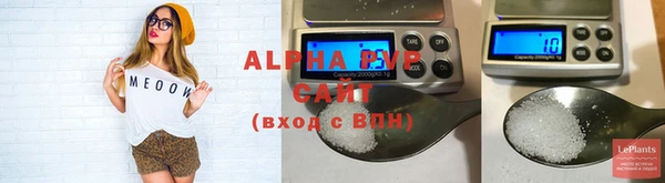 шишки Белоозёрский