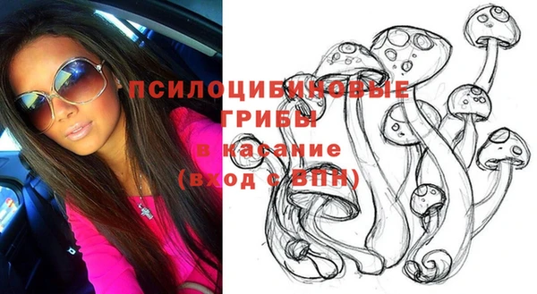 эйфоретик Белокуриха
