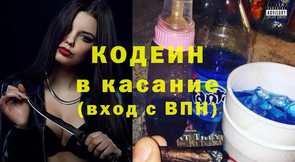 шишки Белоозёрский