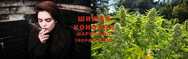 шишки Белоозёрский