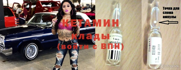 шишки Белоозёрский