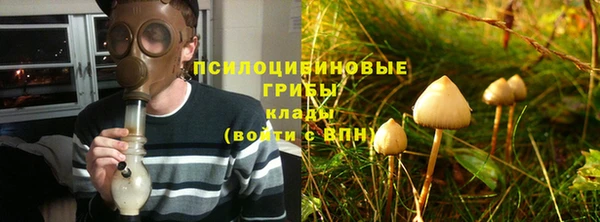 эйфоретик Белокуриха