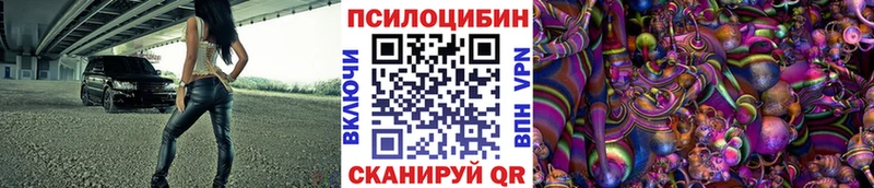 Галлюциногенные грибы мухоморы  купить наркотик  Дагестанские Огни 